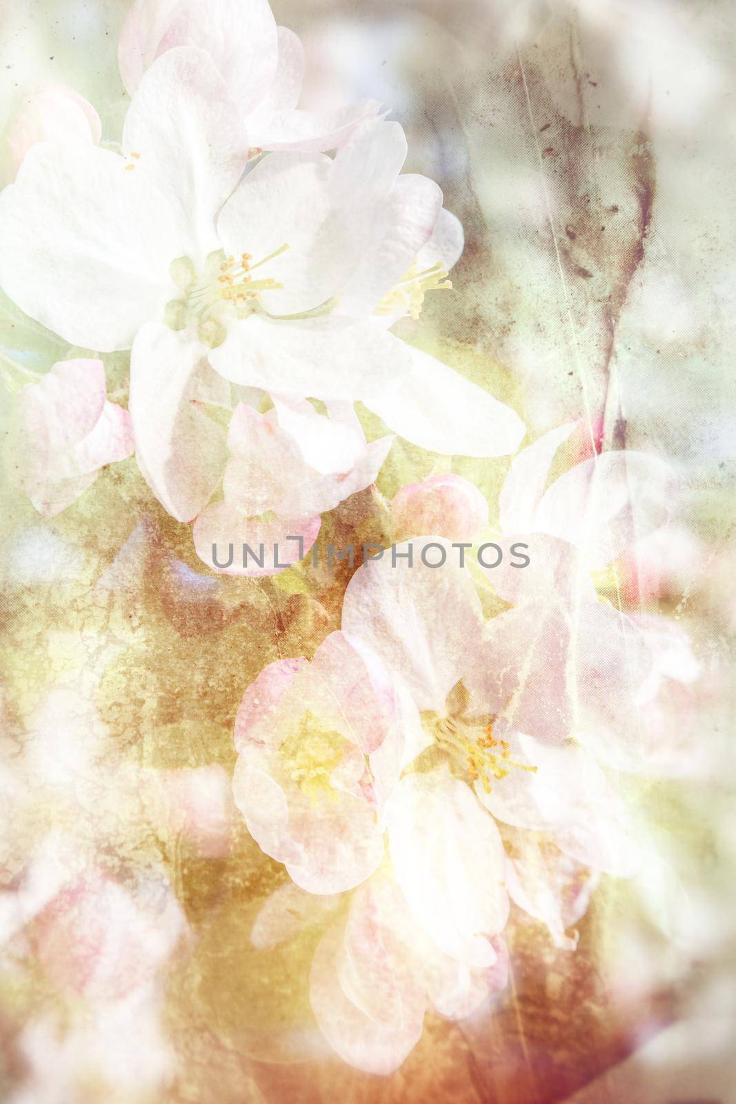 Abstract spring background image in pastel colors with the texture of apple blossoms.