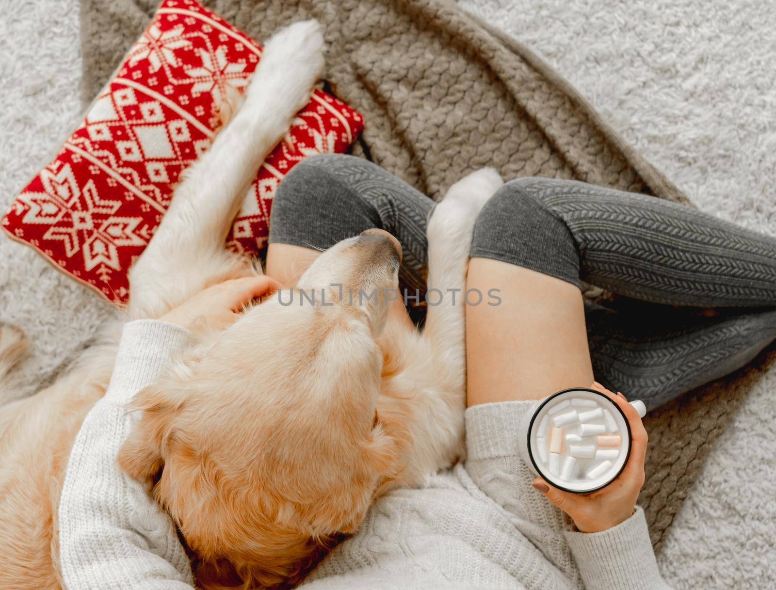 Girl holding mug with cocoa and marshmallow and hugging golden retriever dog in festive holidays time. Young woman with hot beverage and pet doggy at home
