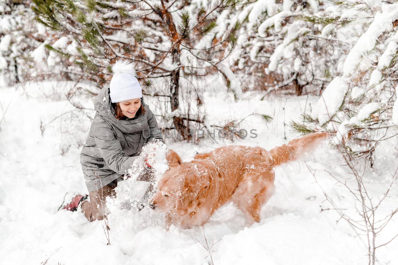Girl playing with golden retriever dog in snow in winter time and smiling. Young woman with doggy pet outdoors in cold weather with snowflakes