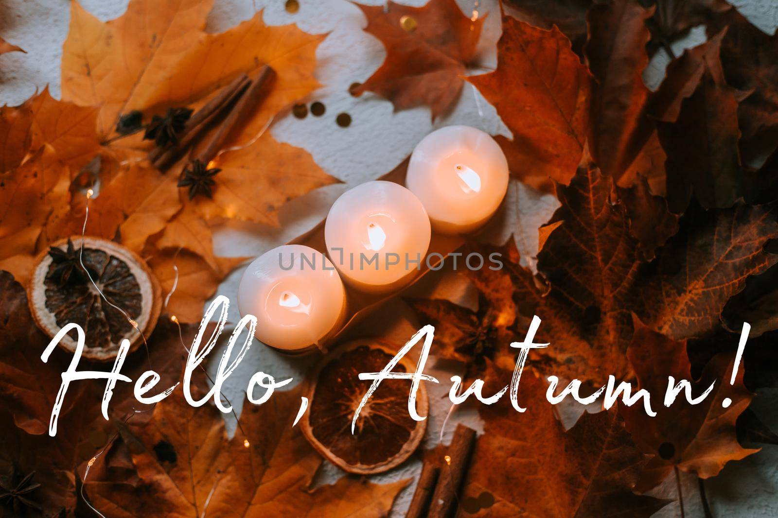 Banner hello autumn . cozy vibes . A new season. Autumn leaves. An article about autumn. by alenka2194