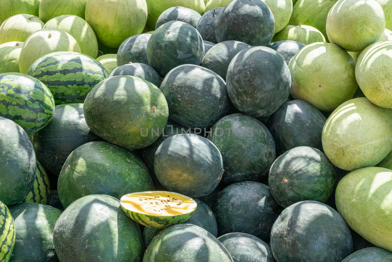 a bunch of striped watermelons close up as a background by roman112007