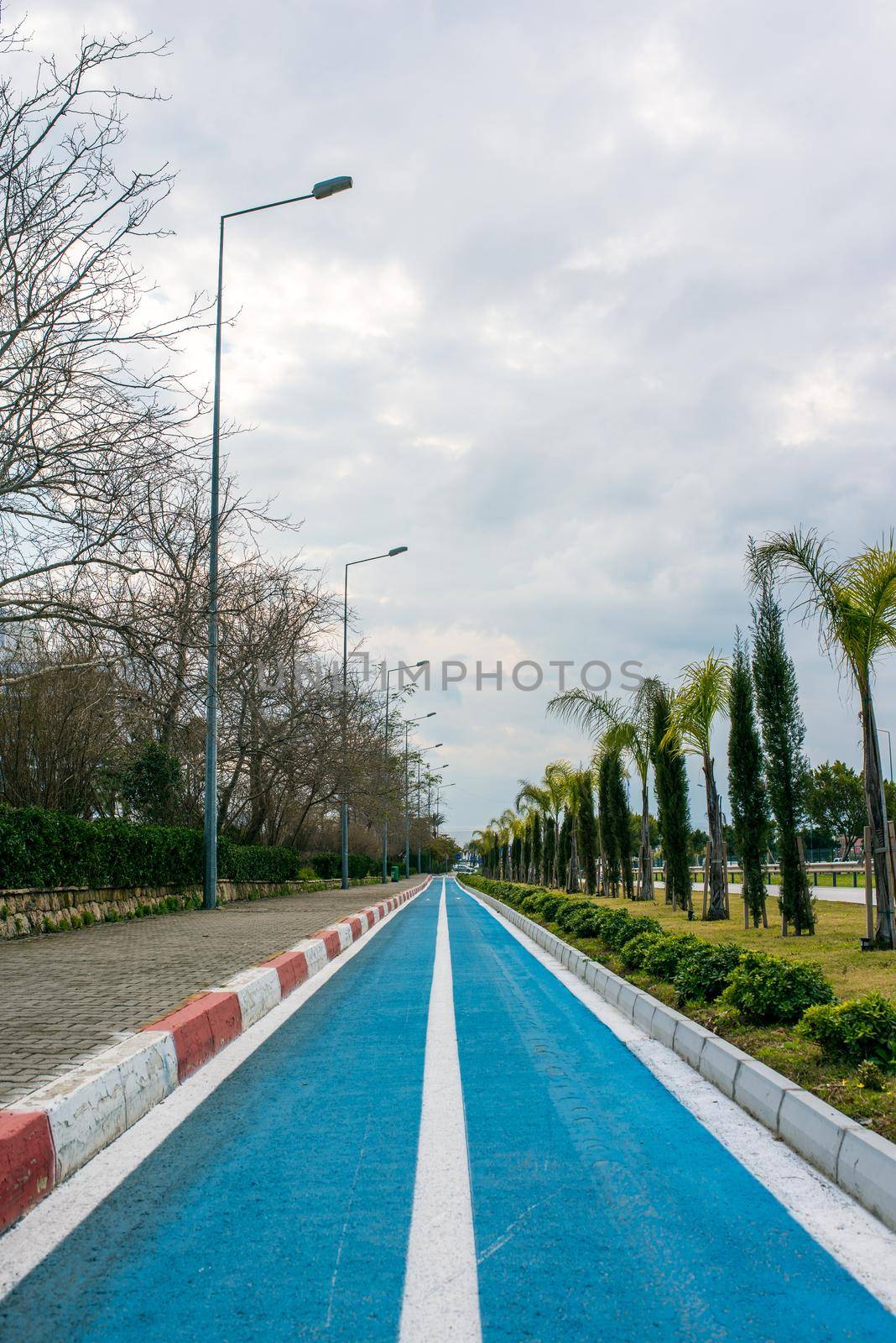 Empty blue cycling road on cloudy autumn day