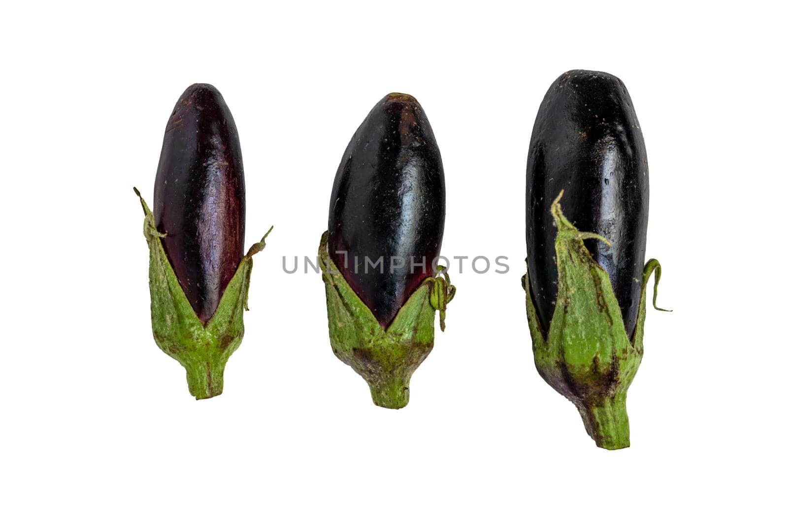 Fresh Baby eggplant isolated on white studio background