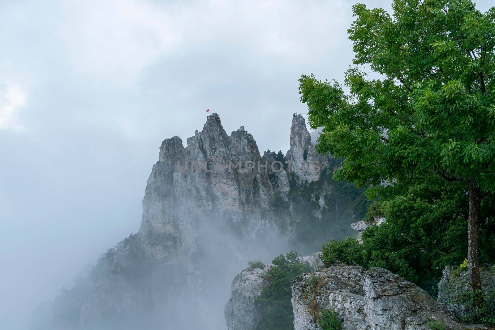 a rock in inclement weather in fog by roman112007