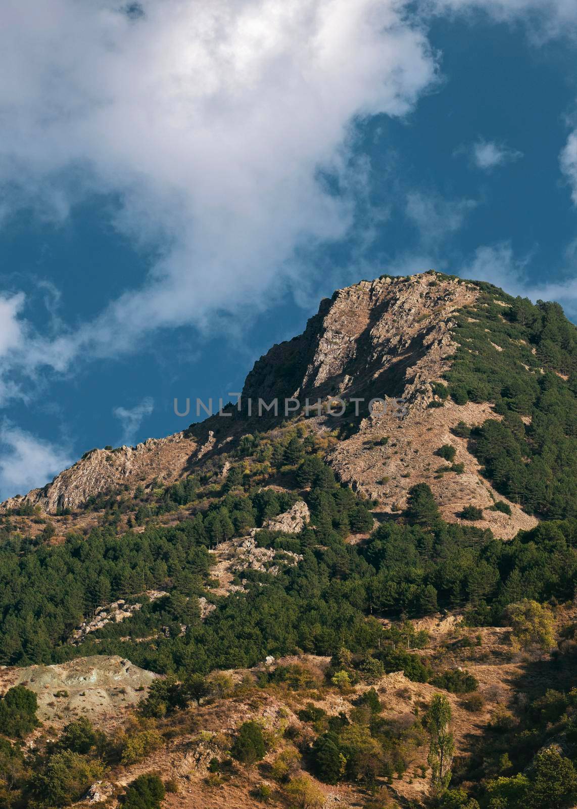 a mountain with blue sky and forest on a cloudy day