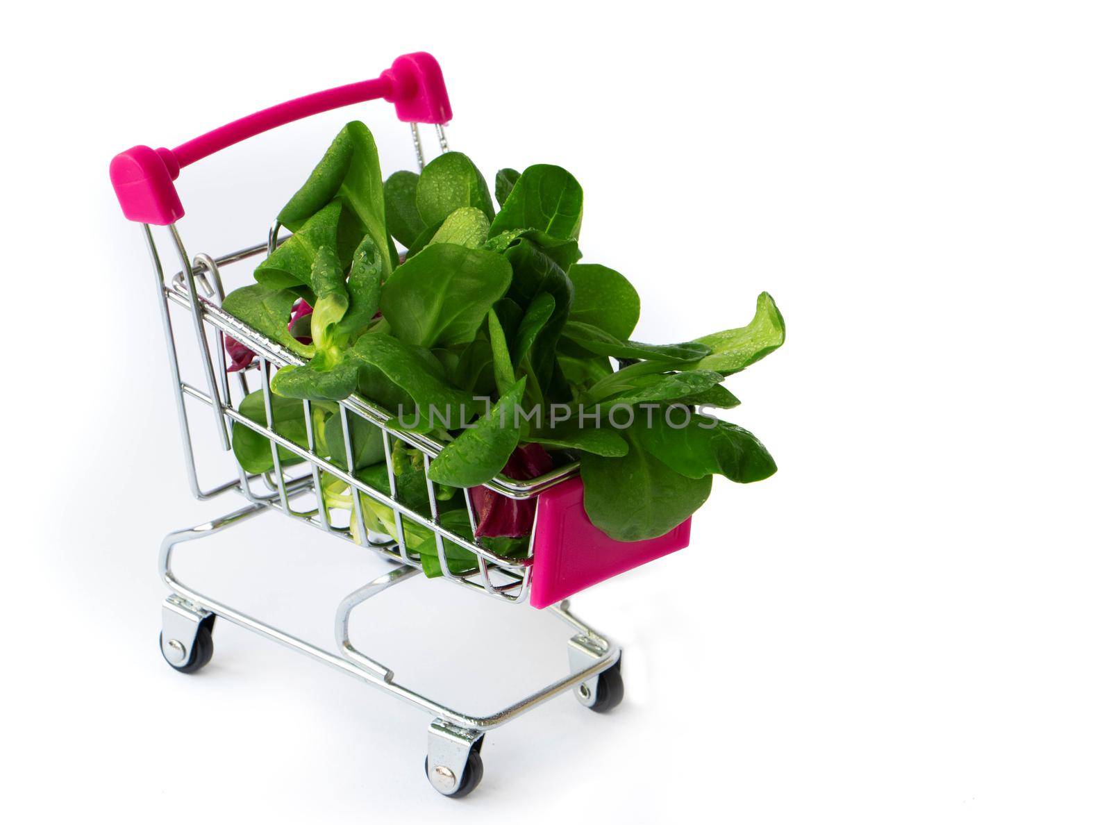 fresh green vegetables in grocery basket. Mini shopping cart filled with, microgreens and mashed. Mash salad. Diet concept. Healthy food. Vegan food. concept shopping in the supermarket. copy space