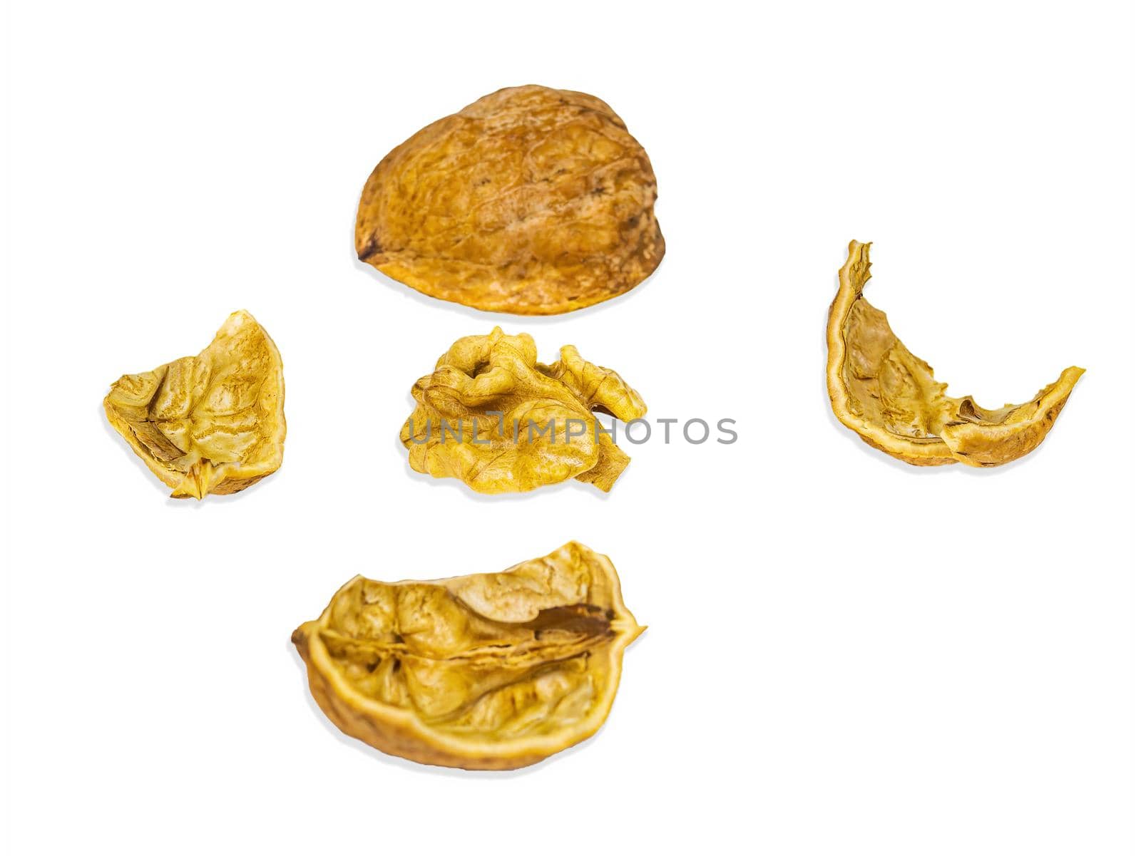 Two halves of a split walnut isolated on a white background. Juglans regia. Walnut shell. Healthy food. Iodine in nuts. Nut core. Vegetarian food. Culinary ingredient. White background.