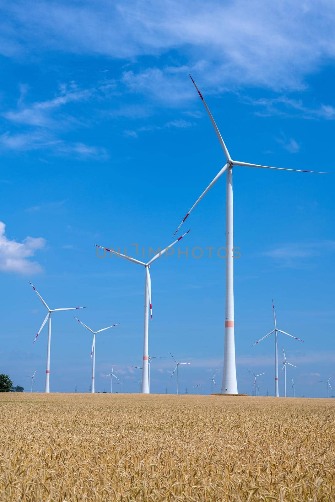Wind energy plants in a grainfield seen in Germany