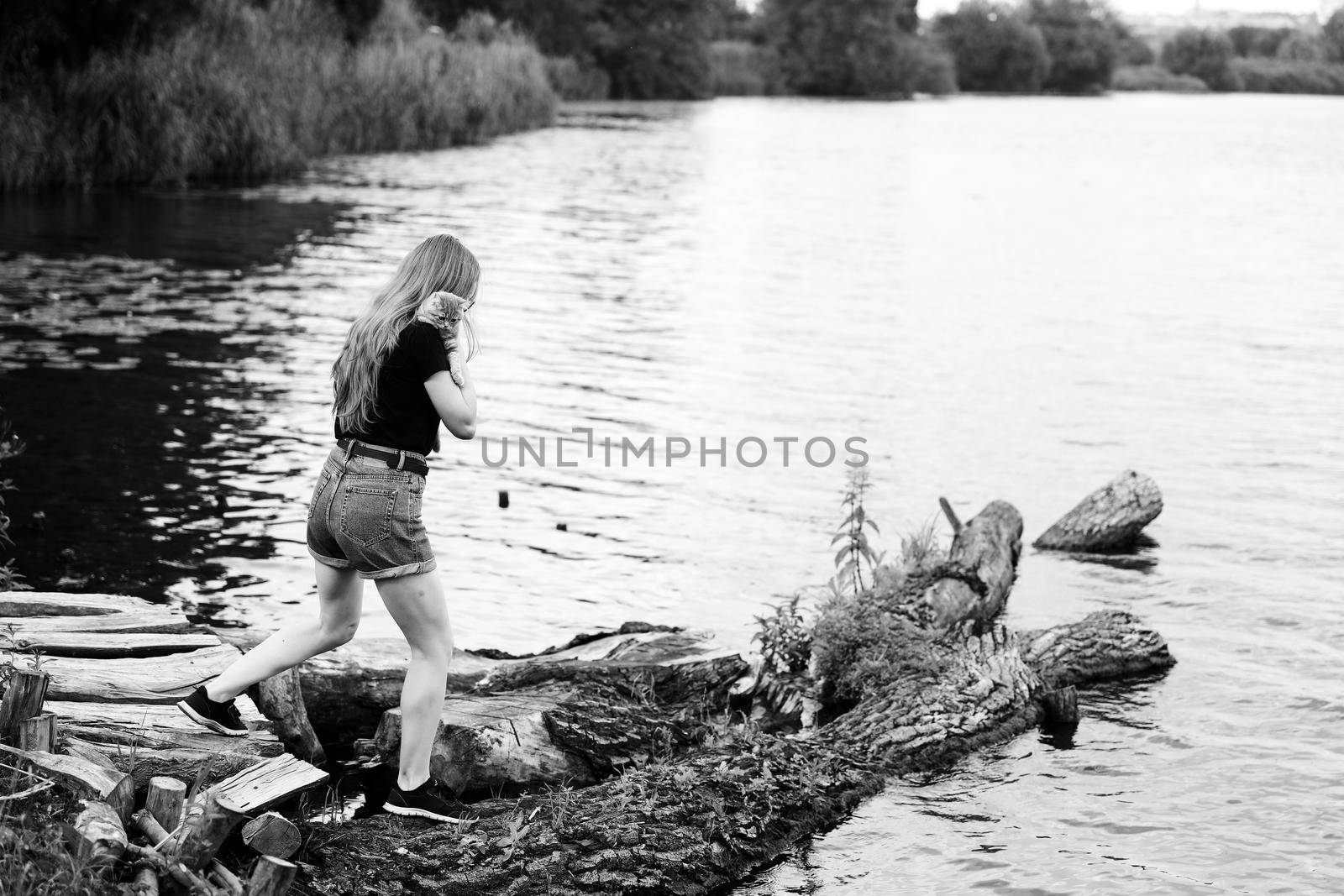 A young woman walks with a three month old Scottish Reed kitten near the lake in summer. The black-and-white photo was taken in the general plan in sunny weather with natural light