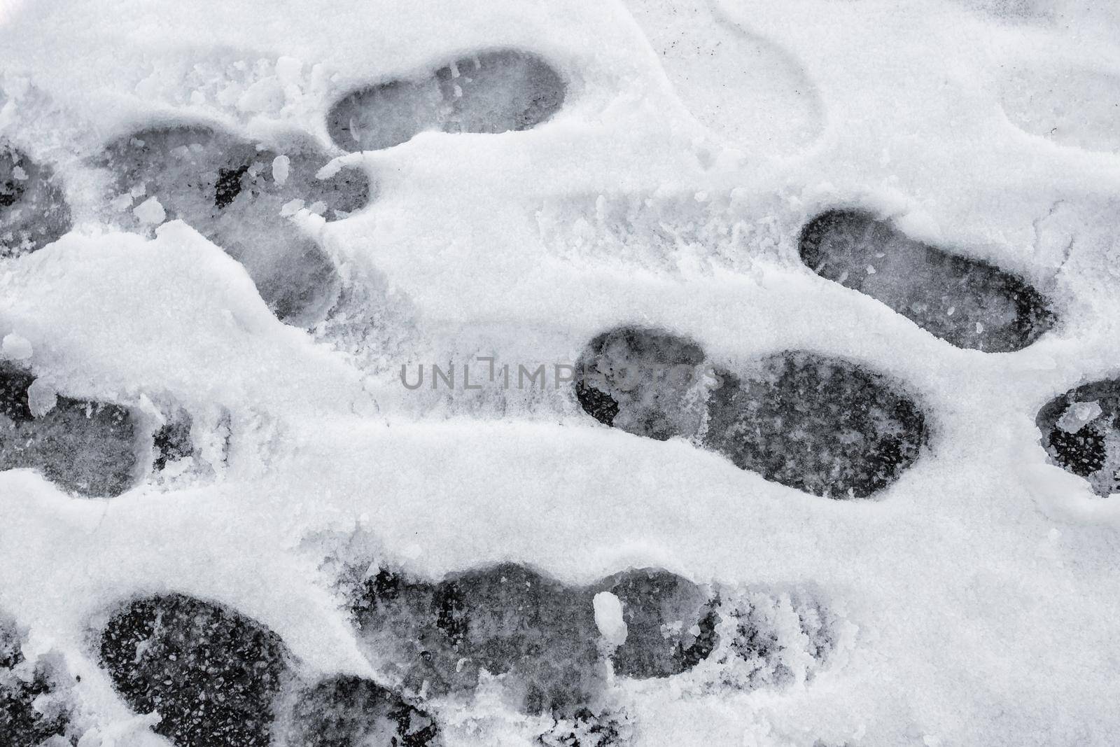 Lots of footprints in snow. It can be used as texture or background and concepts.