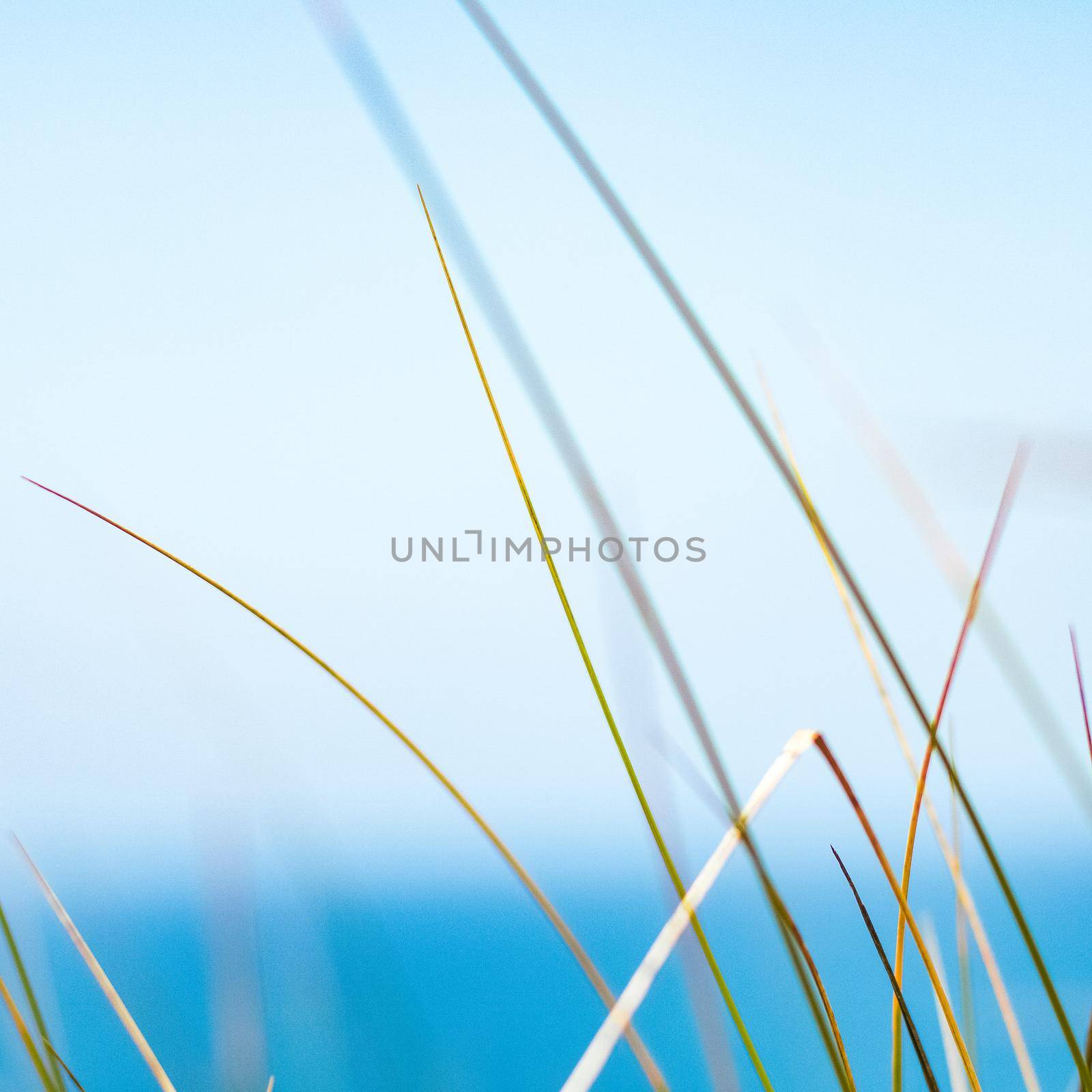 Beauty in nature, balanced lifestyle, environmental concept - Rustic spring field