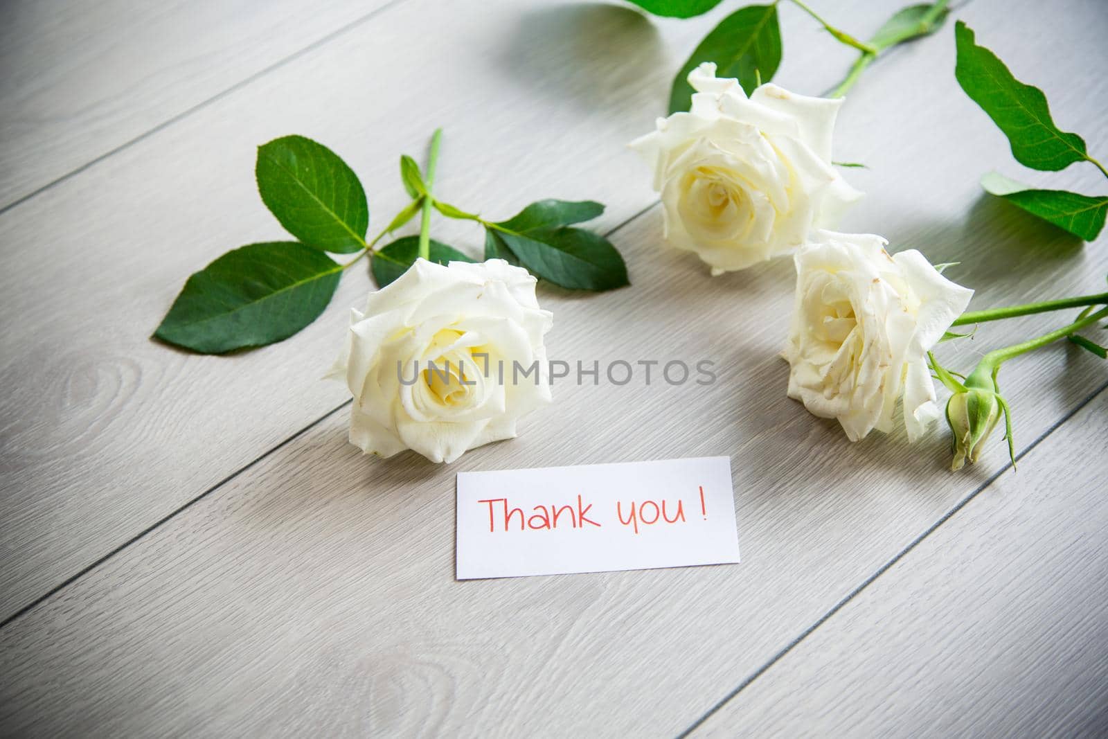 beautiful background of many white roses on a light wooden