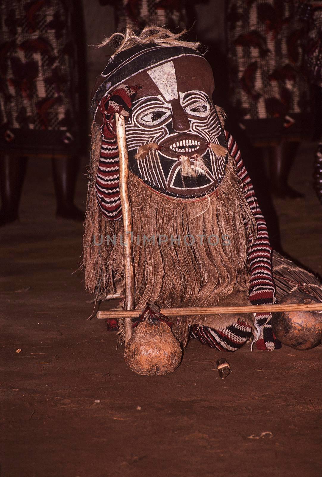 Zulu tribal dance show, Victoria Falls, Zimbabwe, Africa