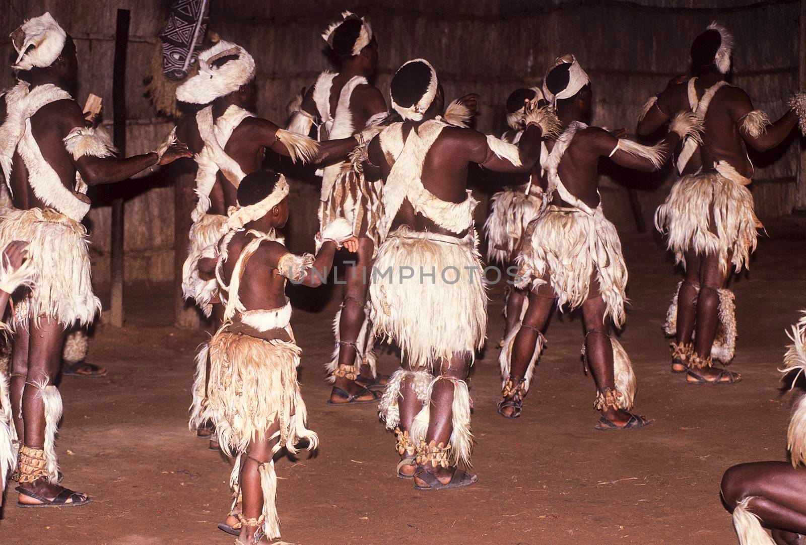 Zulu tribal dance show, Victoria Falls, Zimbabwe, Africa
