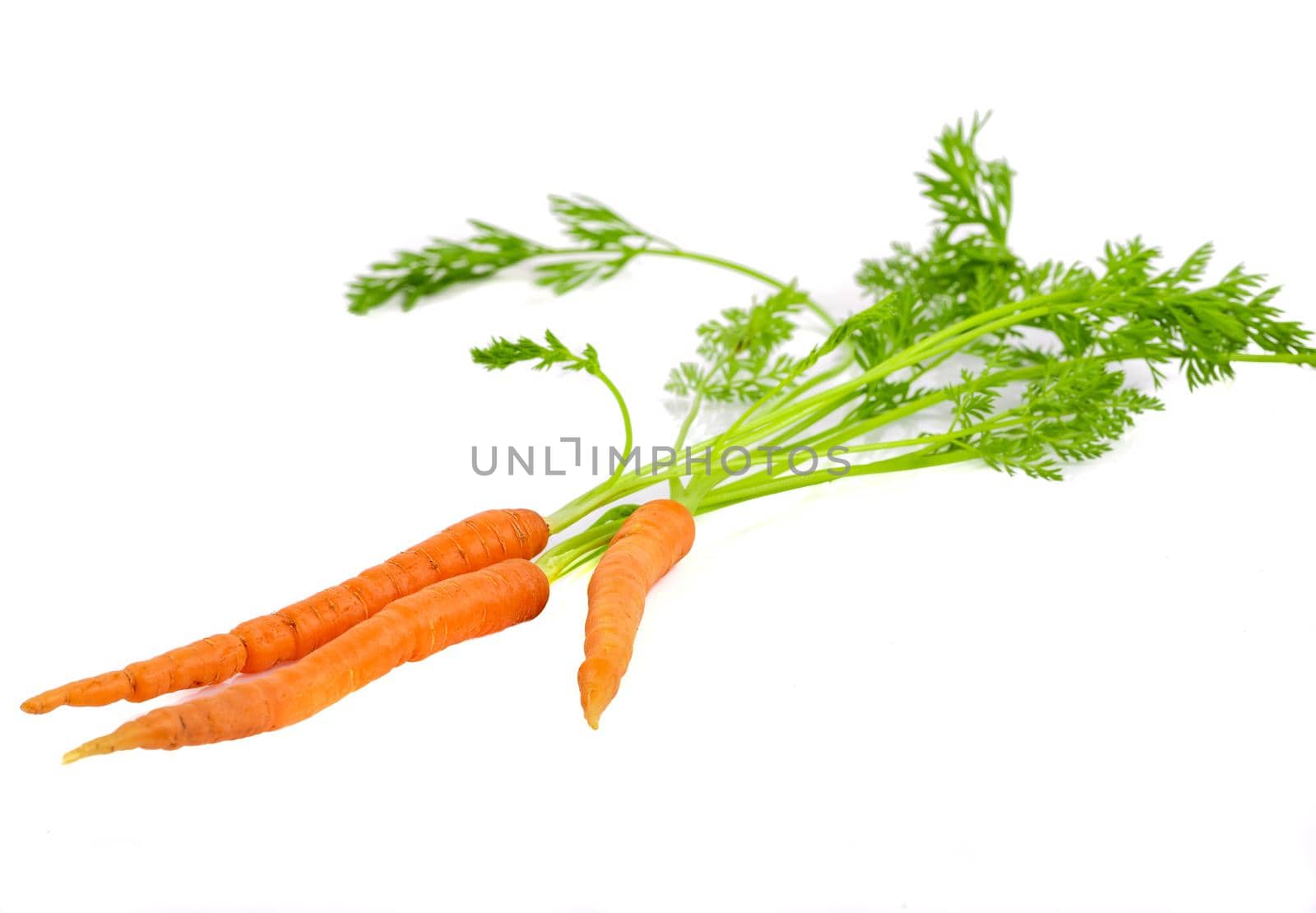 Bunch of fresh baby carrots isolated on white background by Sonat