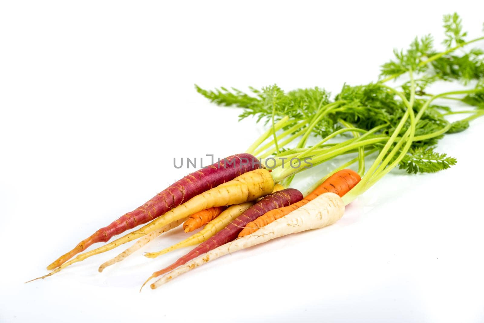 Bunch of fresh baby carrots isolated on white background