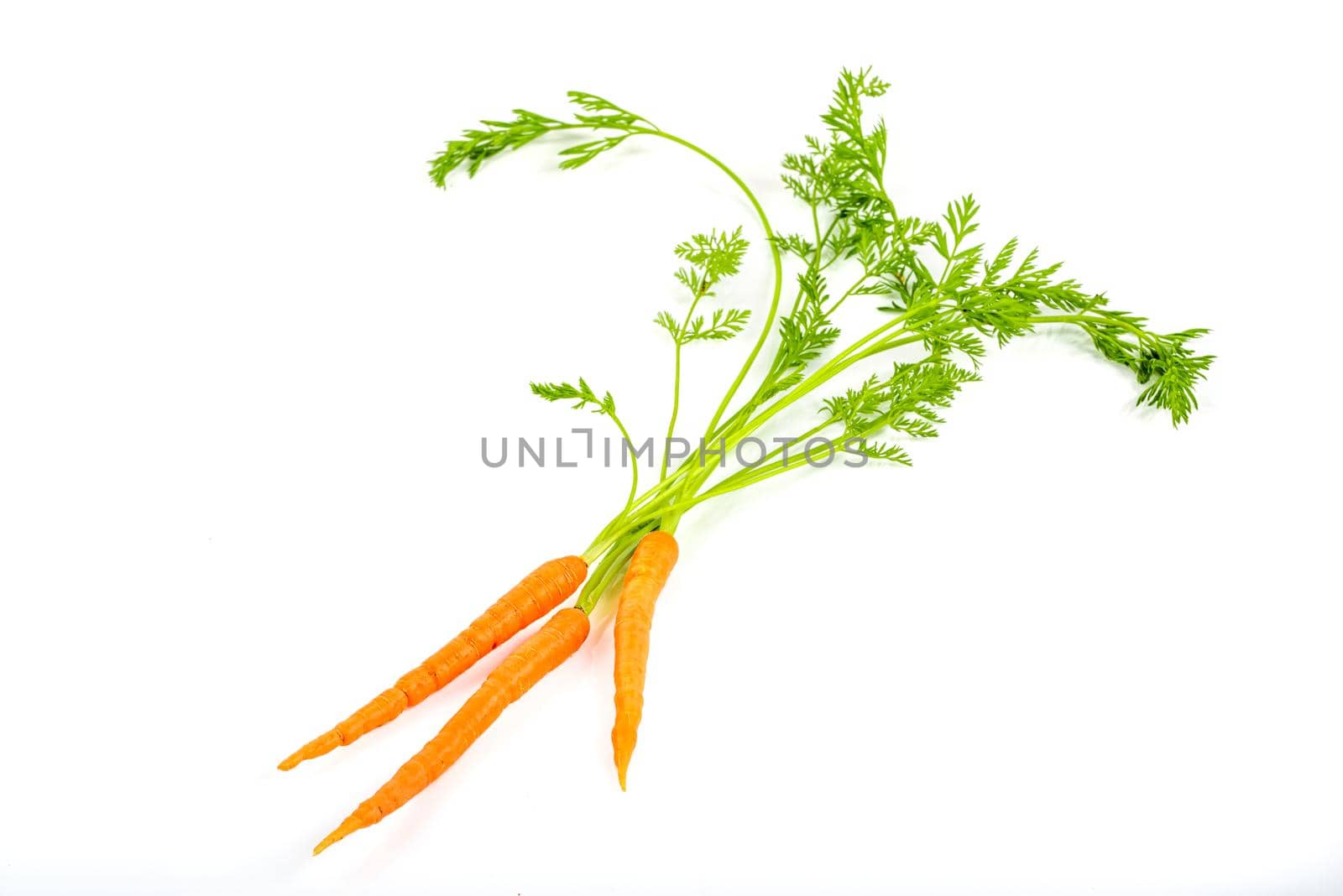 Bunch of fresh baby carrots isolated on white background by Sonat