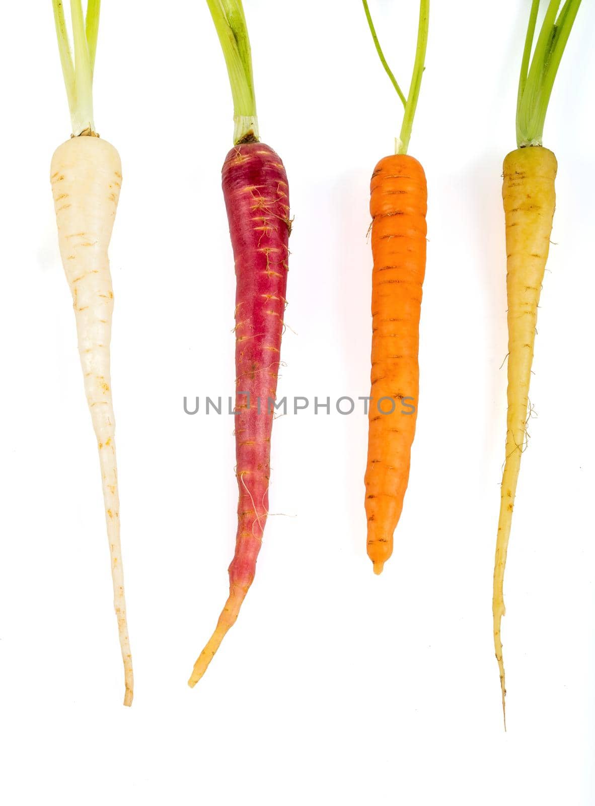 Bunch of fresh baby carrots isolated on white background by Sonat