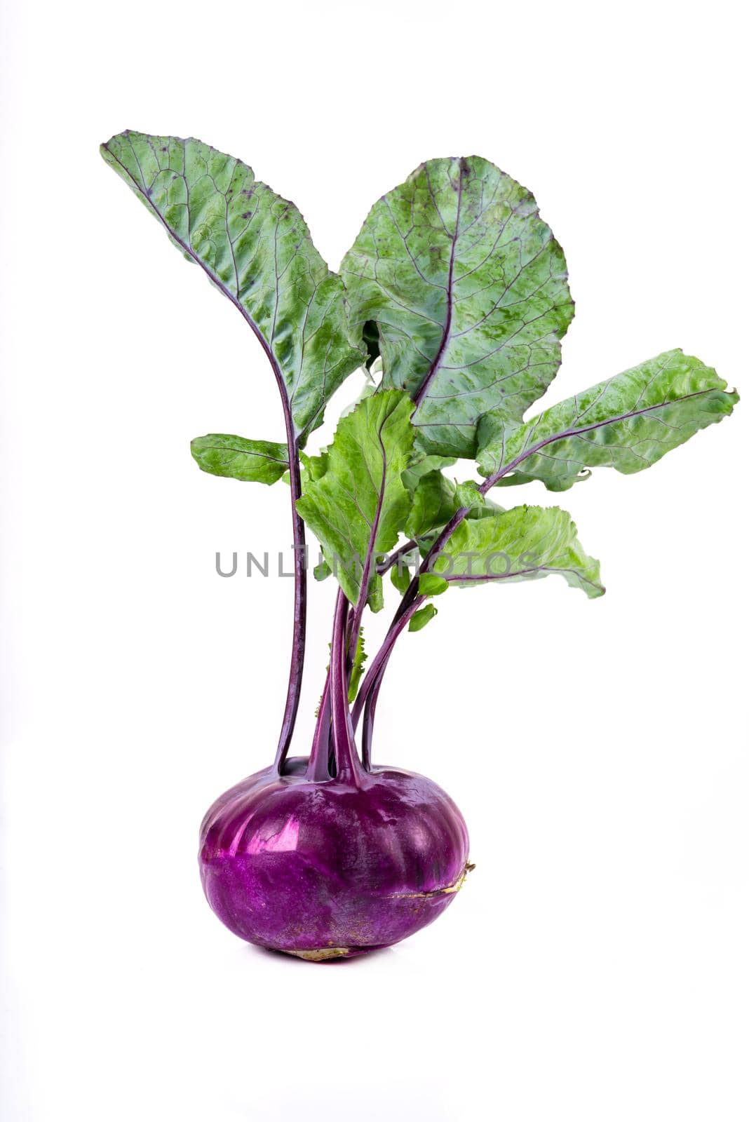 Fresh red kohlrabi isolated on white background. Healthy food.