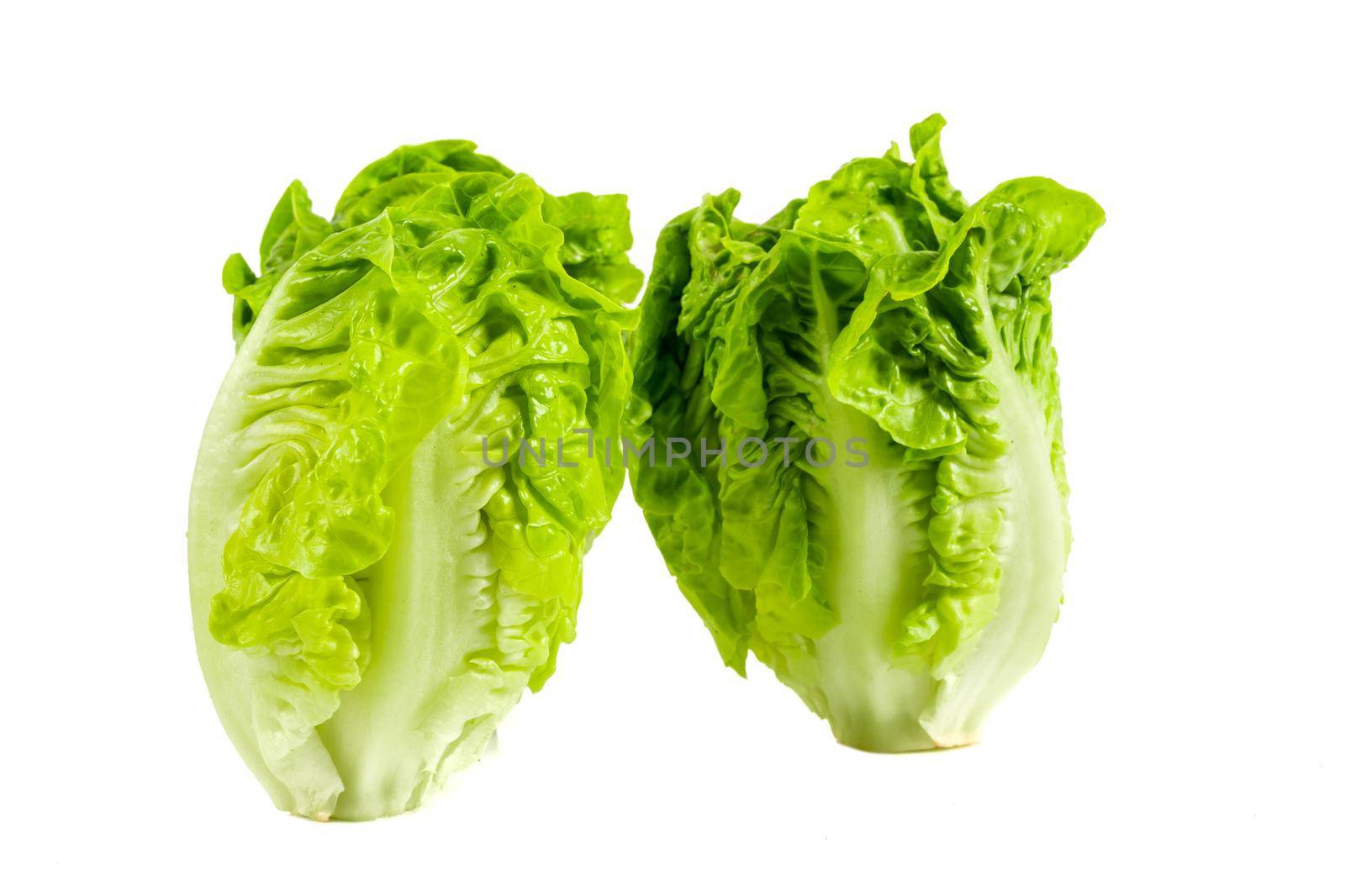 Fresh baby cos lettuce on white background