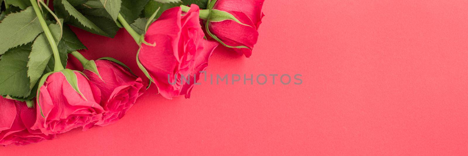 Minimal creative fresh roses on a pastel pink background. Gift concept for Valentine's Day, Wedding or Birthday, banner format. copyspace for text. Flatlay.