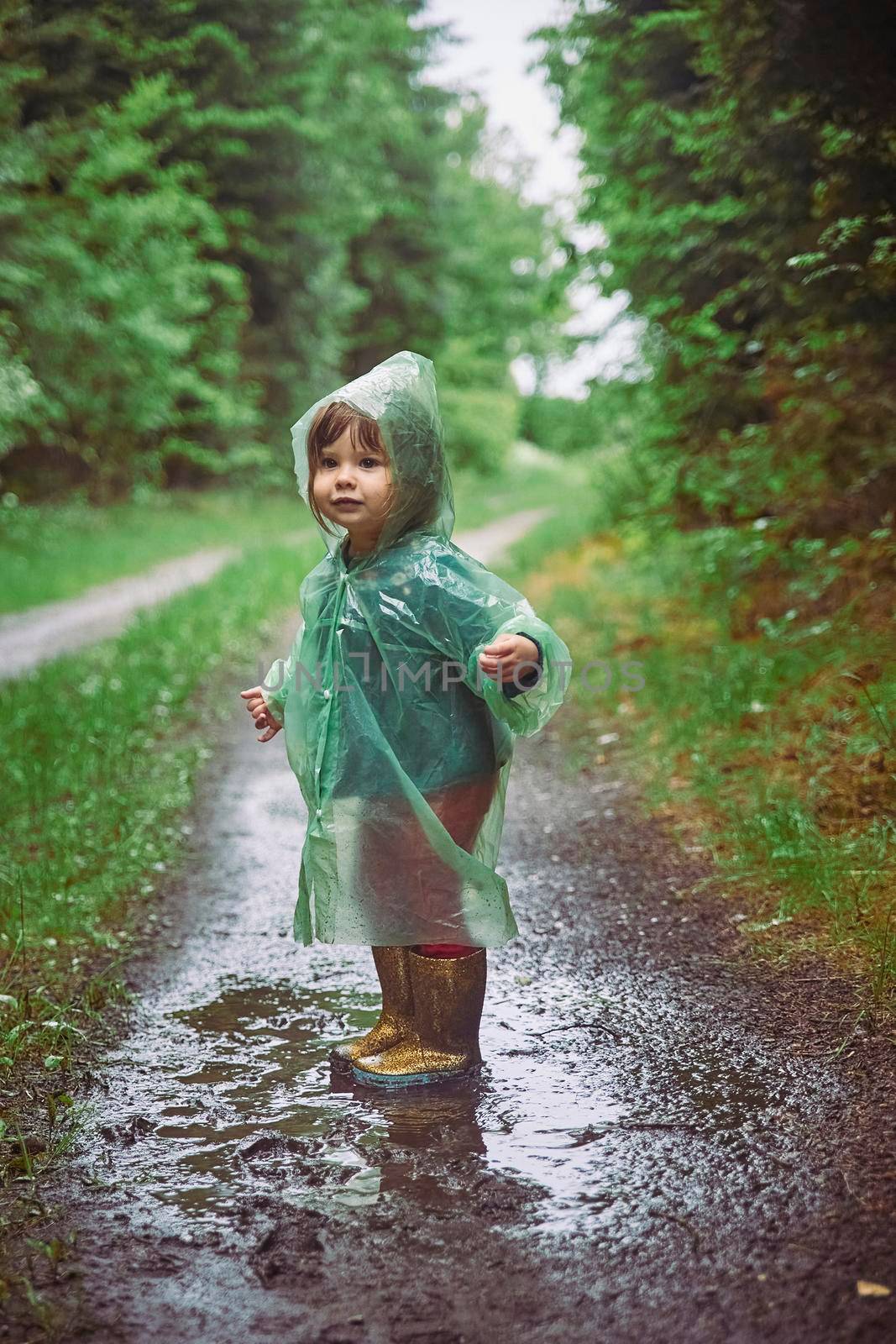 Charming child in a raincoat in the evening forest in Denmark.