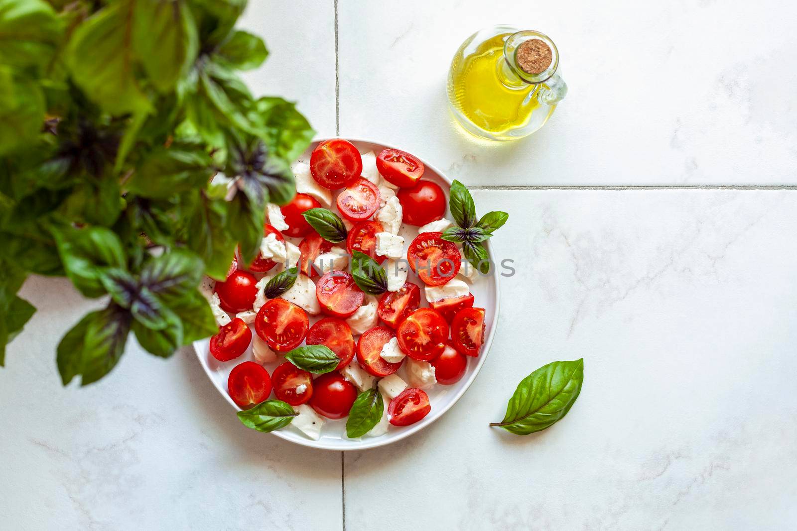 caprese salade served in a plate under a basil plant, home garden concept, top view