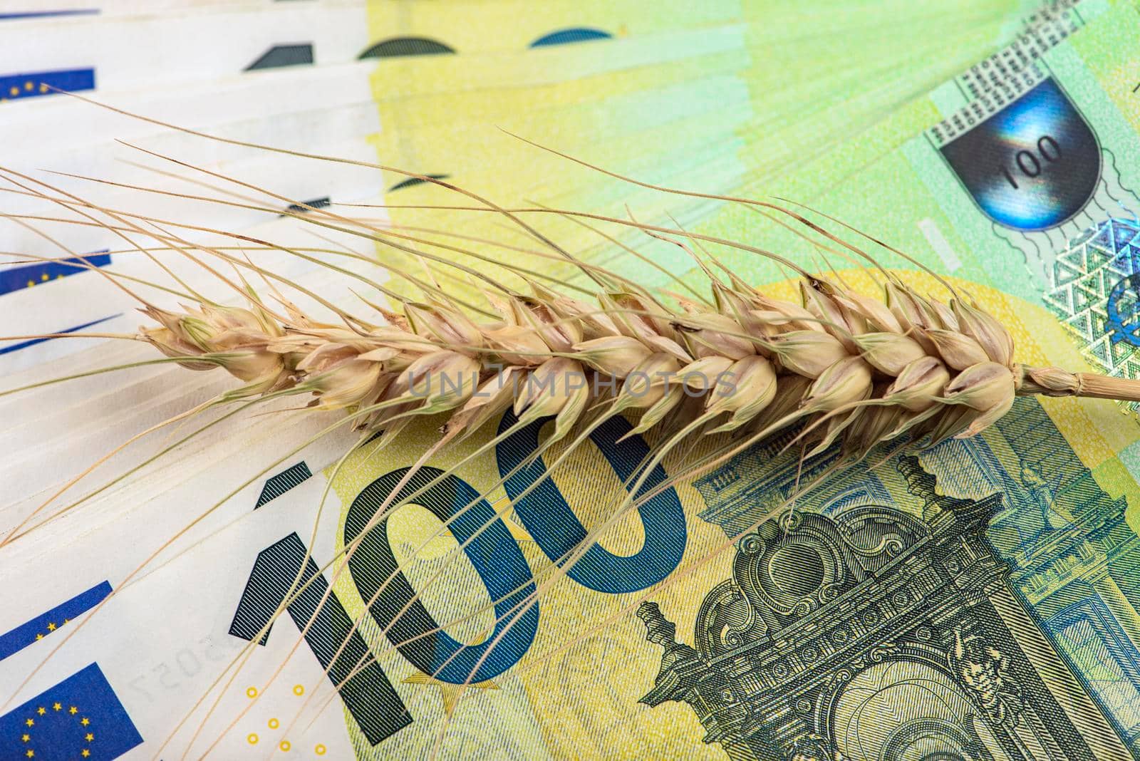 Wheat crisis, lack of grain and harvest. Wheat grains on the background of euro banknotes. The concept of the world food crisis. export and import of grain to the European Union