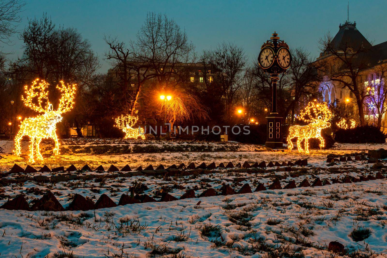 Christmas decorations in the gardens of Cismigiu park located in downtown Bucharest, Romania by vladispas