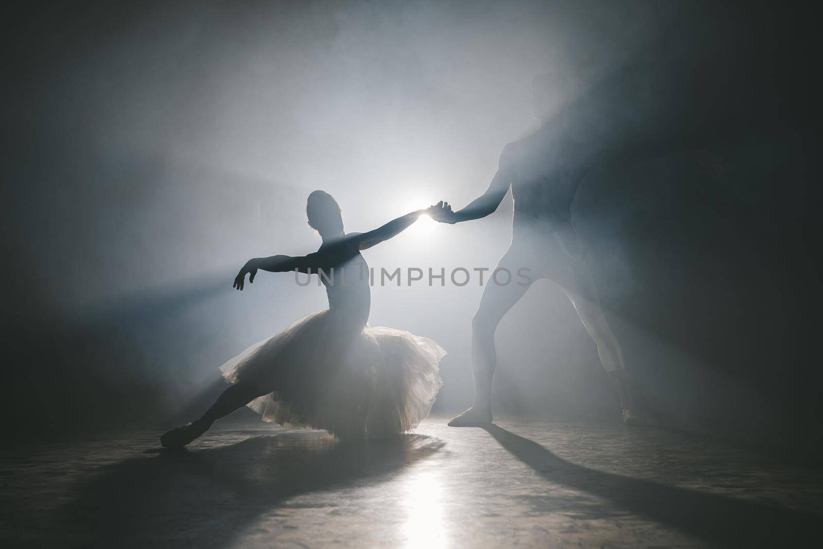 Graceful ballerina and her male partner dancing elements of classical or modern ballet in dark with floodlight backlight. Couple in smoke on black background. Art concept