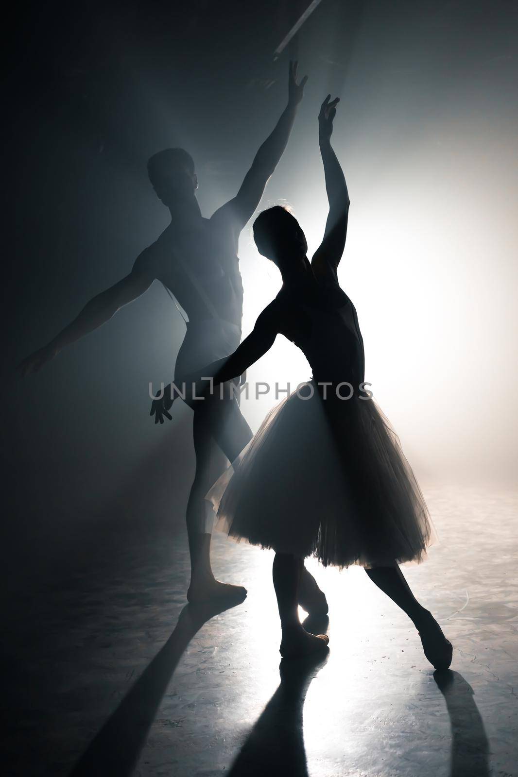 Graceful ballerina and her male partner dancing elements of classical or modern ballet in dark with floodlight backlight. Couple in smoke on black background. Art concept