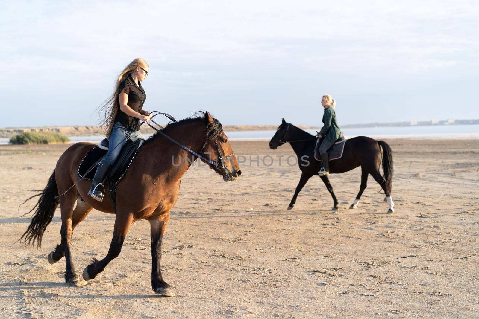 woman riding horses on open coast. Stallion training. Jogging with horse at sunset light. Nature, love, beauty concept.