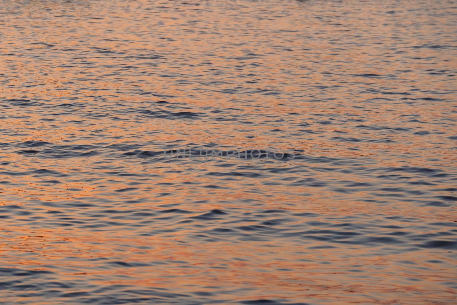 Ripple sea ocean water surface with golden sunset light. Sea waves close up