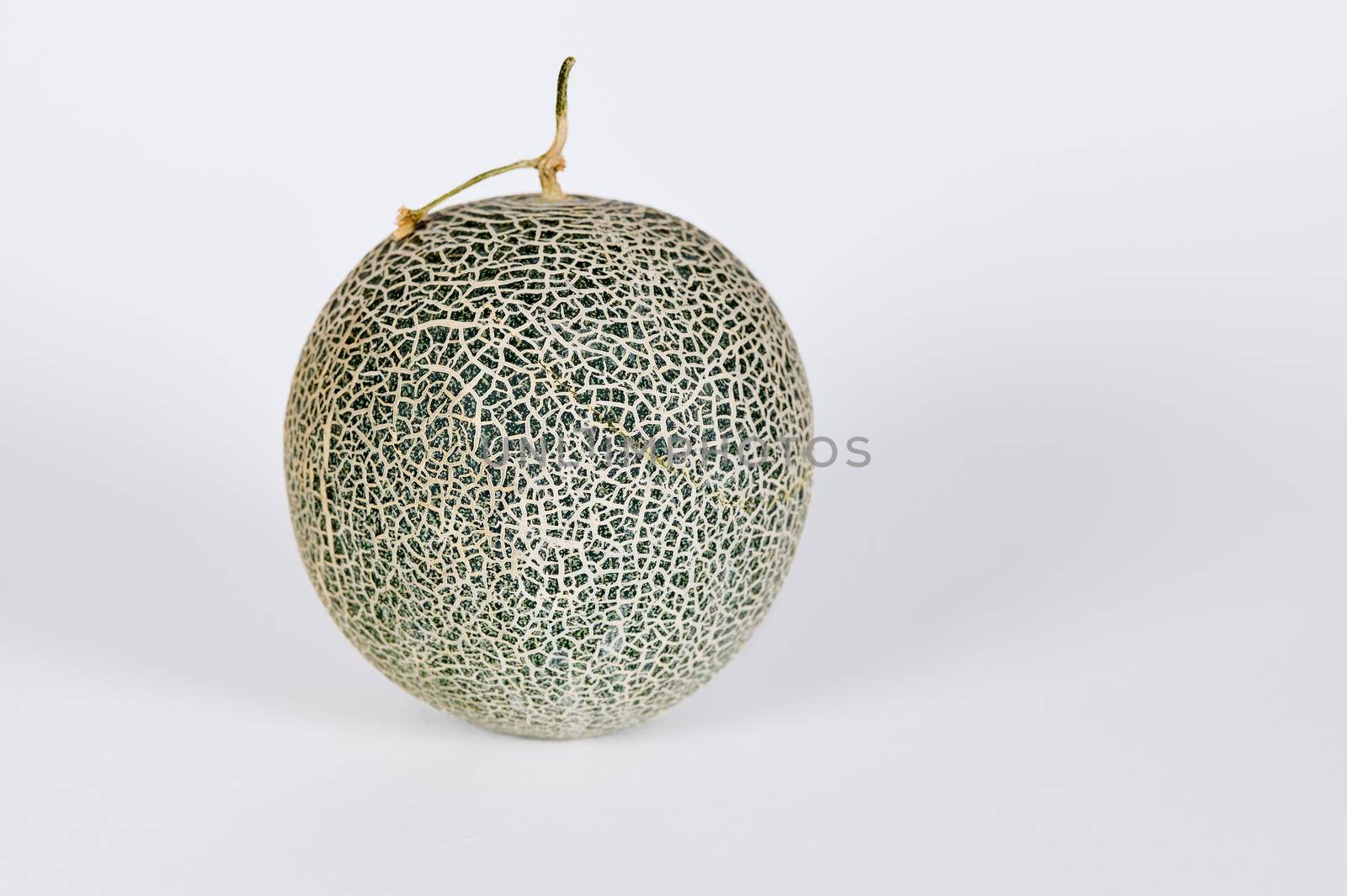 Single Cantaloupe melon on a white background