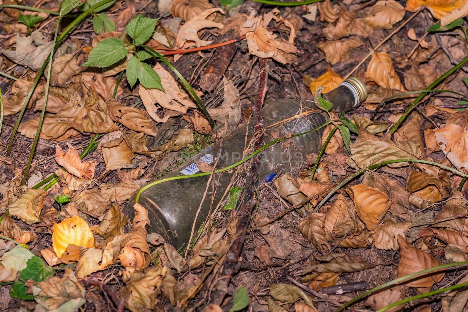 A glass bottle was thrown away in the forest, Odenwald, Germany