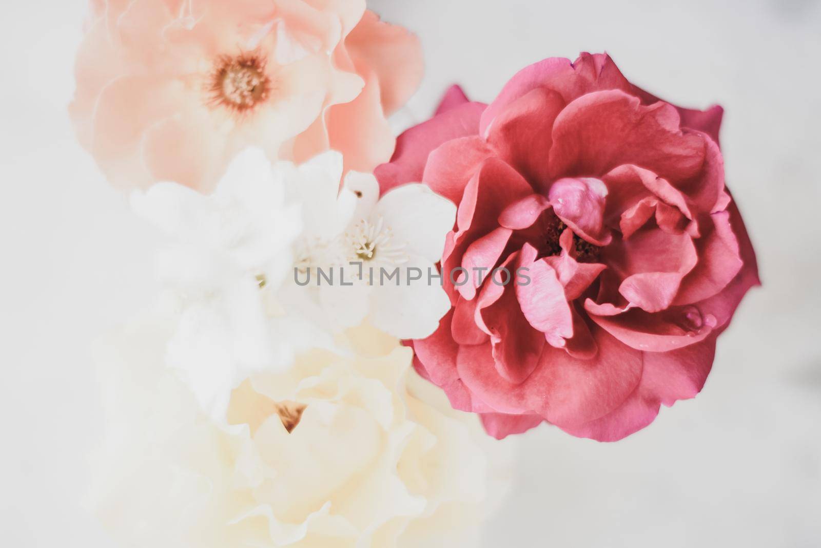 Wedding decor, floral background and beautiful home garden concept - Vintage roses on marble