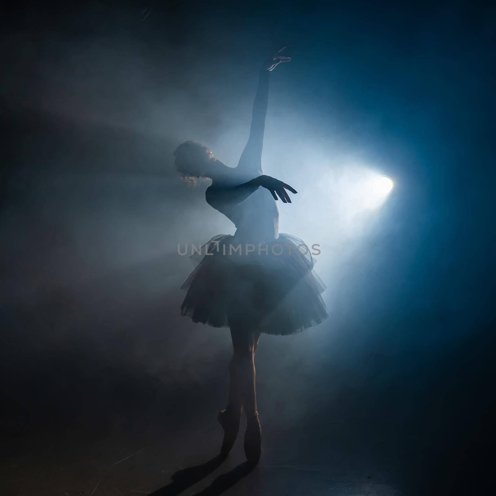 Silhouette of ballet dancer in tutu performing, dancing on stage. Ballerina practices on floor in dark studio with smoke. Neon light. by kristina_kokhanova