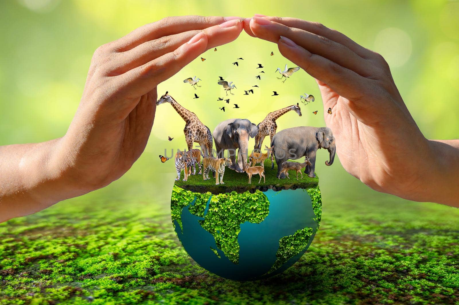 World Animal Day World Wildlife Day  Groups of wild beasts were gathered in the hands of people