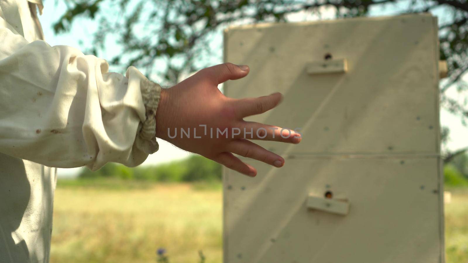 A beekeeper with a swollen palm due to a bee sting. A young man in the field against the background of a beehive in the apiary. A man in a white suit. Hand close up. 4k