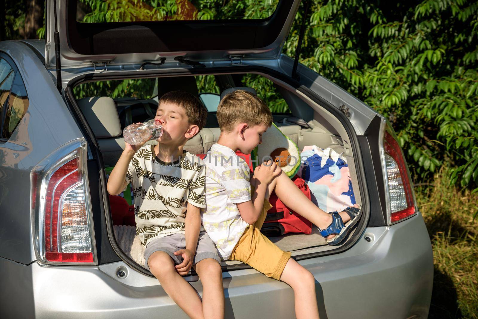 Two happy children boy and his brother sitting together in a car by Kobysh