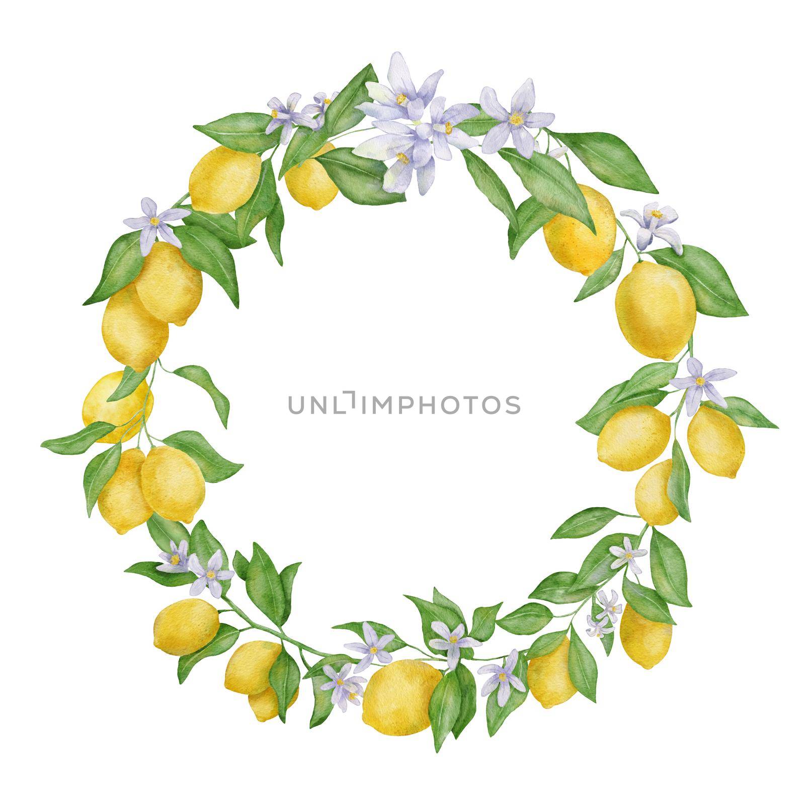 Lemon fruits with leaves and flower watercolor round wreath. Hand draw botanical frame isolated on white. by ElenaPlatova