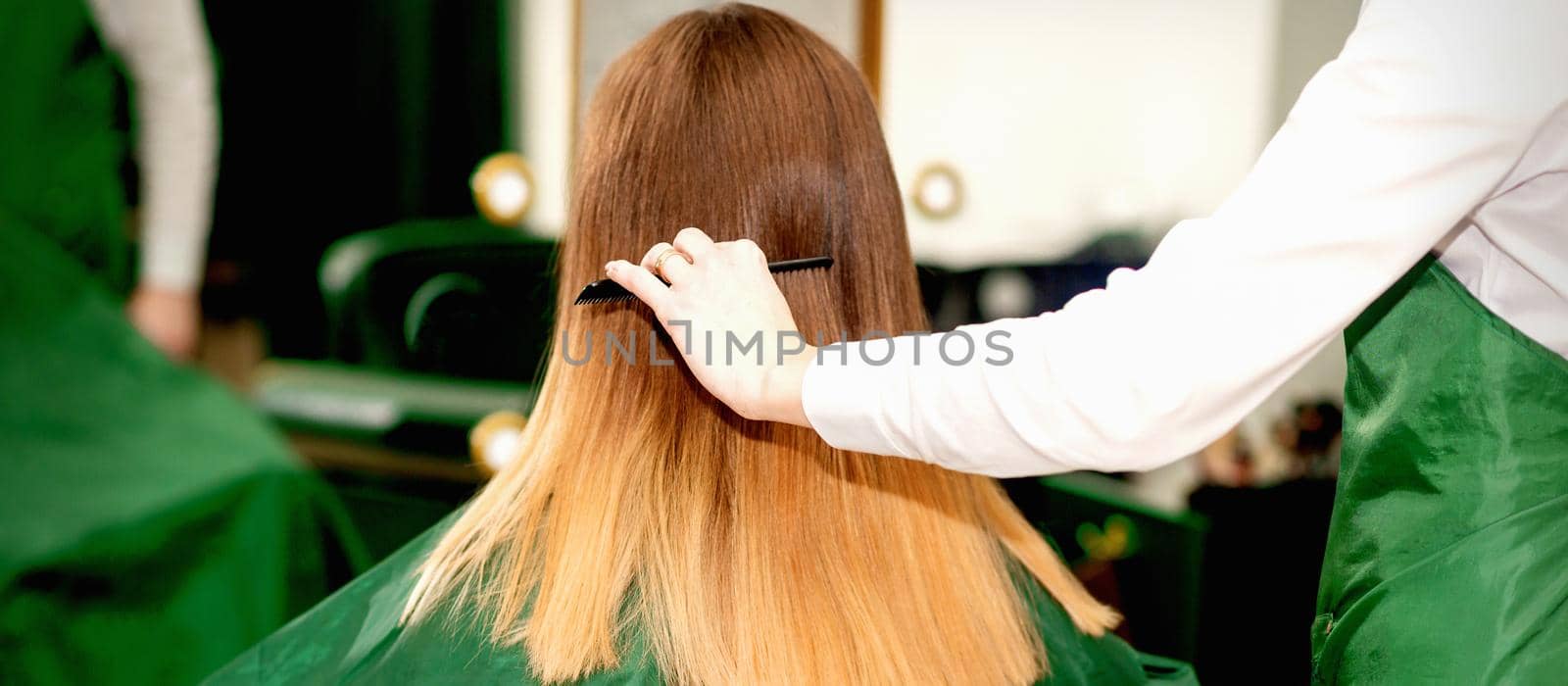 Back view of female hairdresser combing long hair of young blonde client in a beauty salon