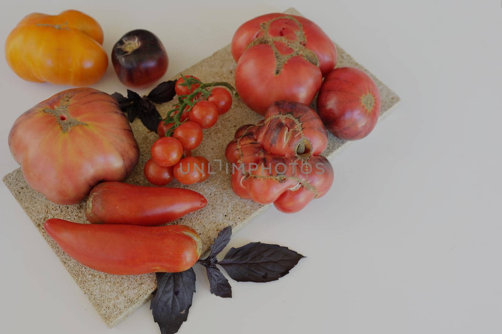 fresh ripe tomatoes of various shapes and varieties on a white background.