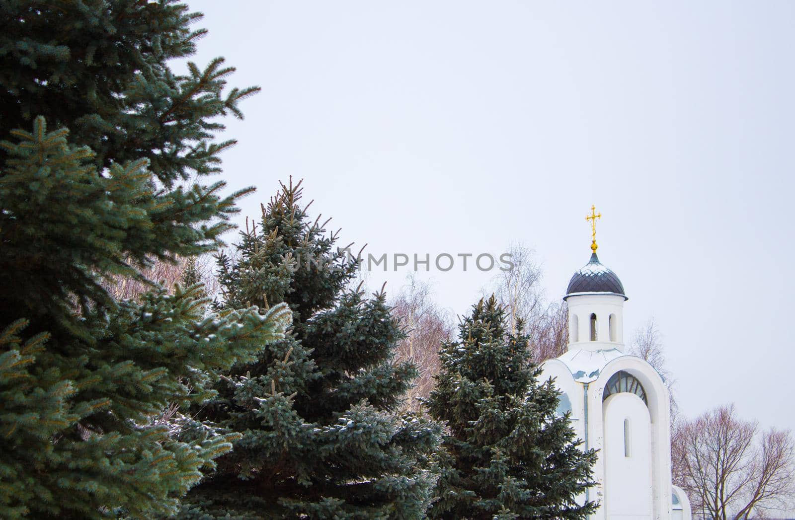 Orthodox Russian Church and Fir-tree Forest in Christmas season.