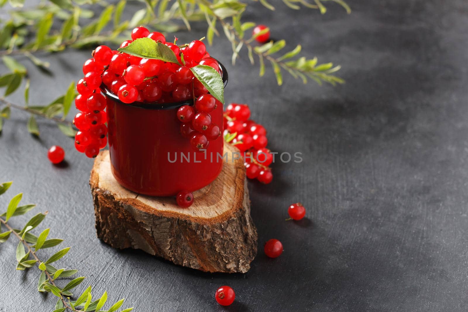 Red currant in a mug on a black background. copy space by lara29
