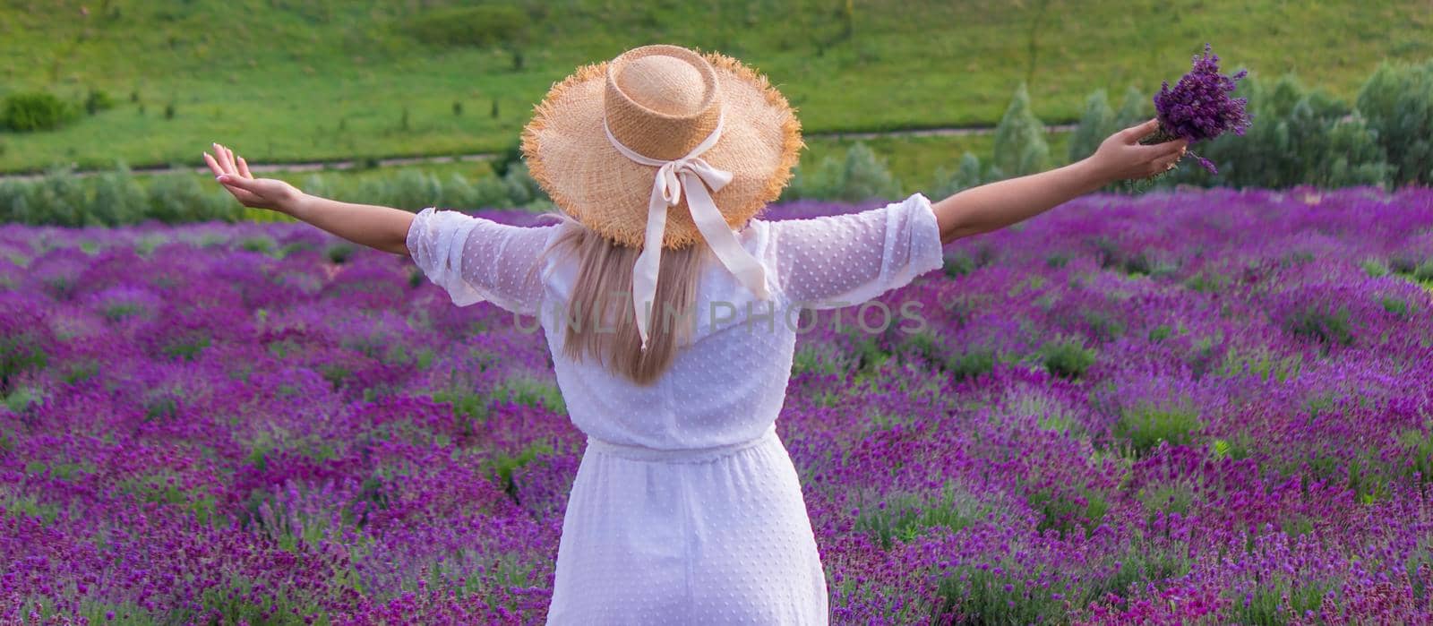 Woman in a field of lavender flowers in a white dress. Ukraine. selective focus