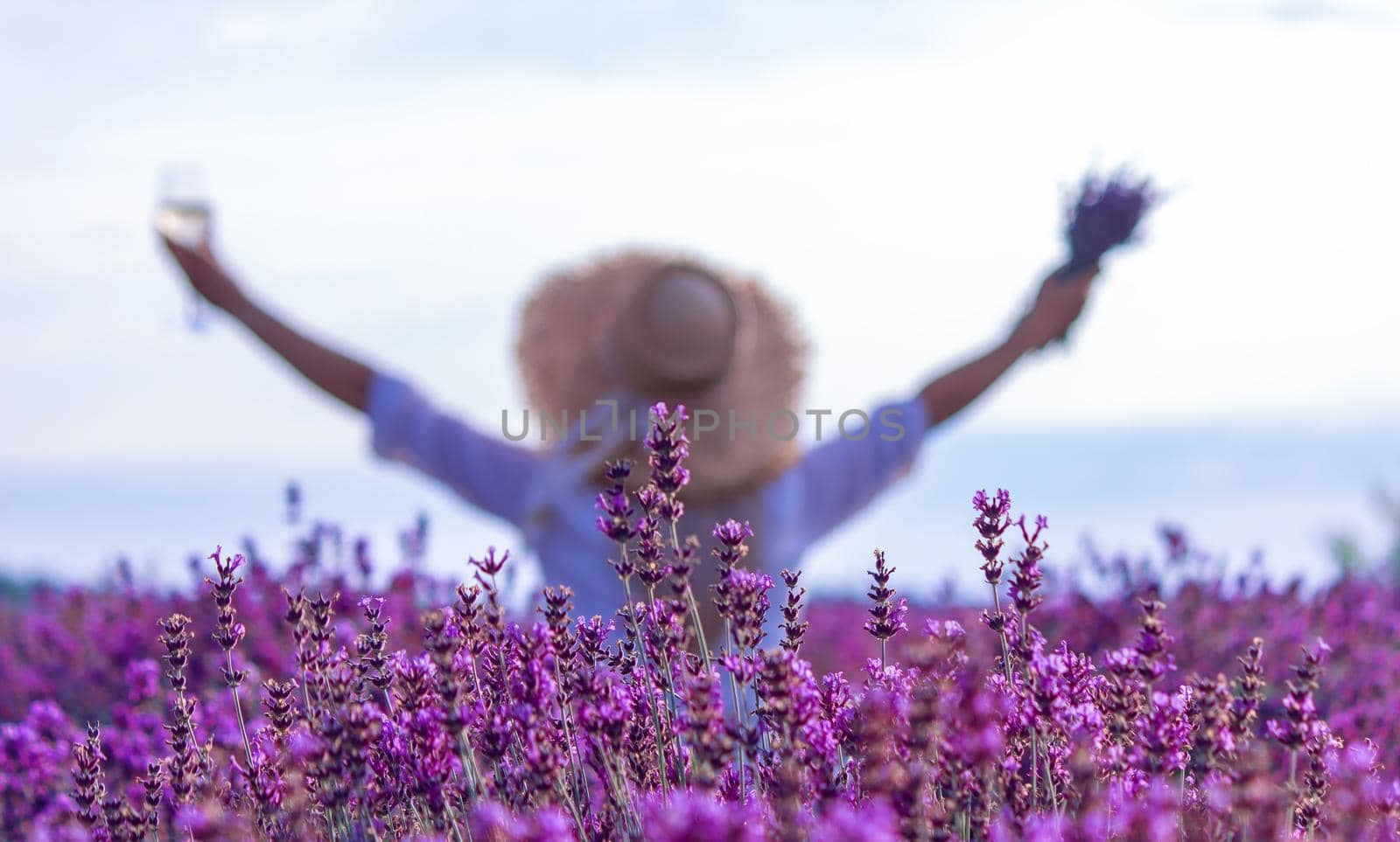 a girl in a lavender field pours wine into a glass. Relaxation. selective focus