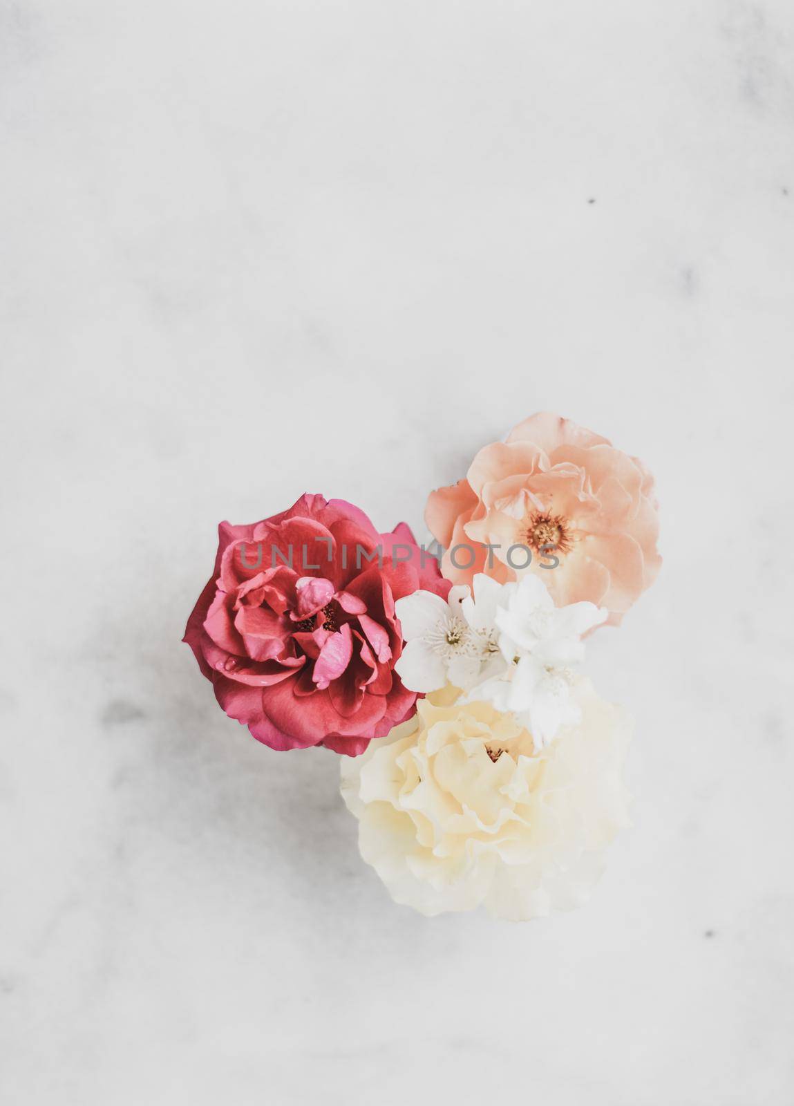 Wedding decor, floral background and beautiful home garden concept - Vintage roses on marble