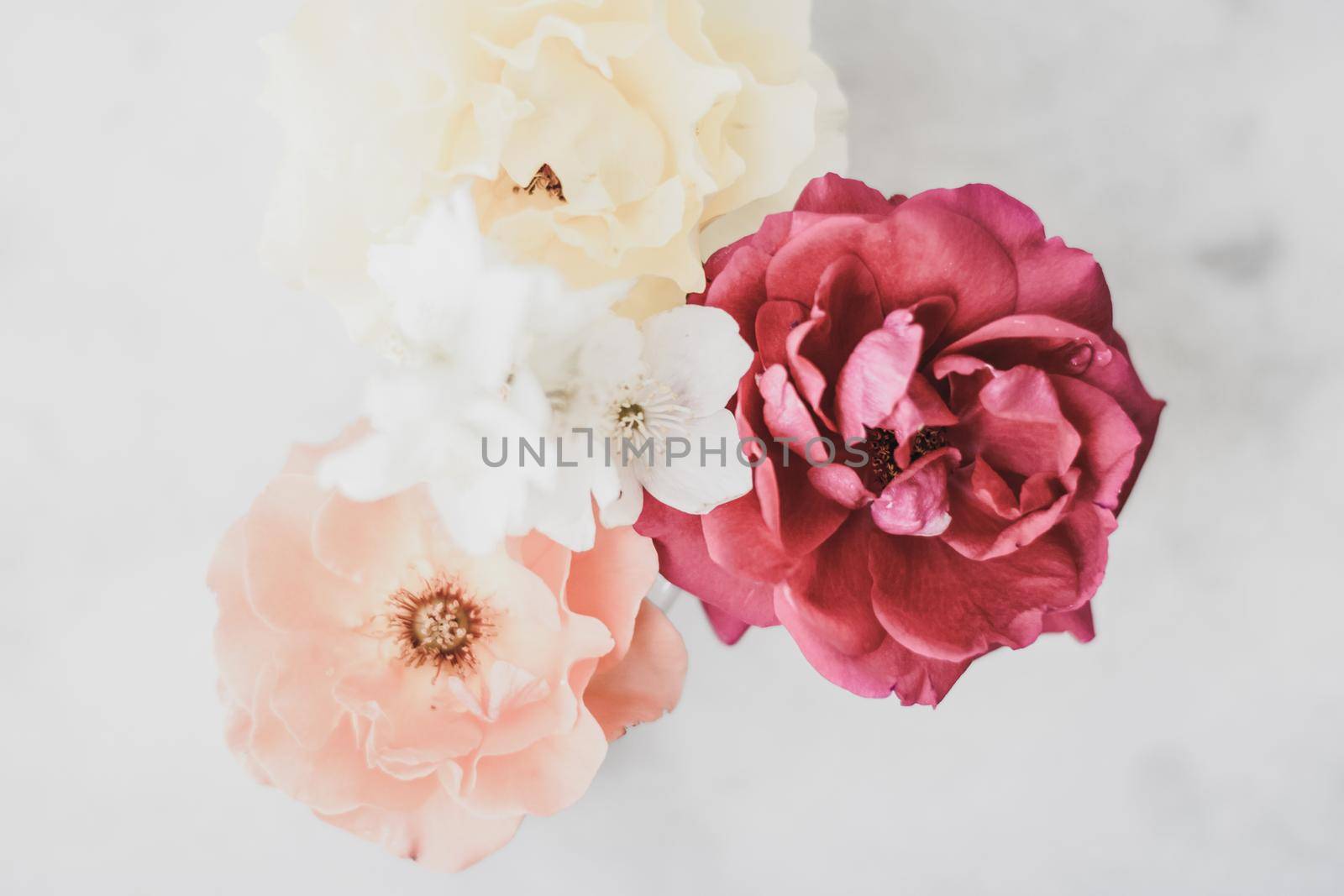 Wedding decor, floral background and beautiful home garden concept - Vintage roses on marble