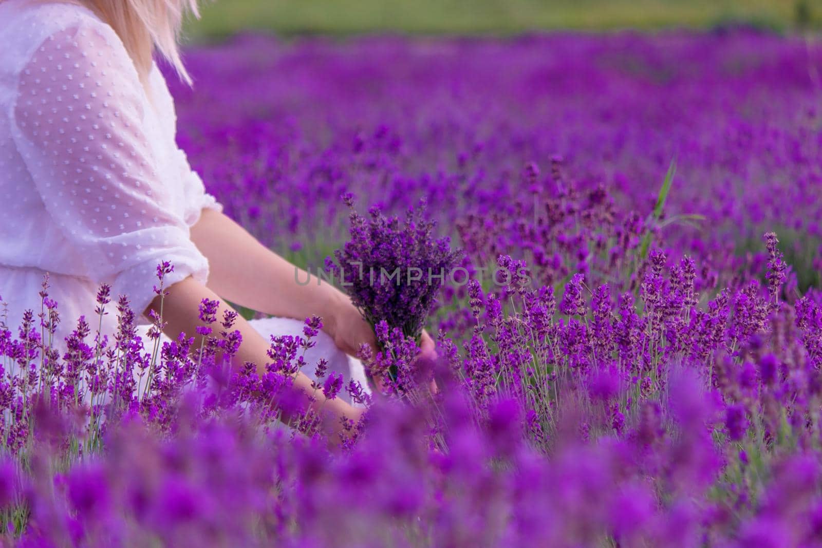 Woman in a field of lavender flowers in a white dress. Ukraine. selective focus